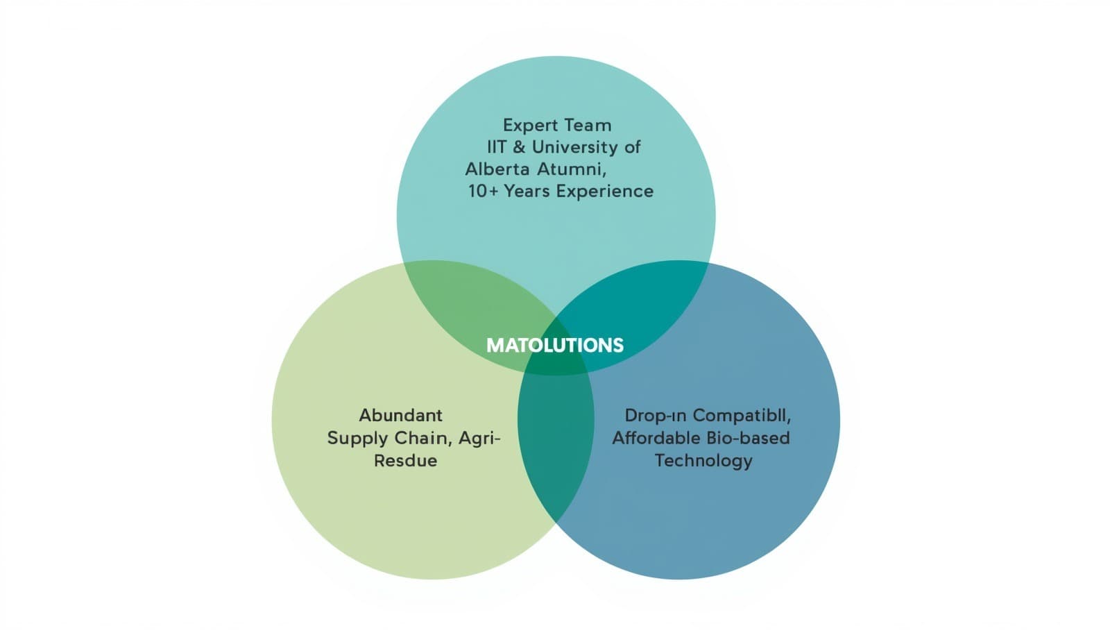Company Overview
