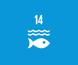 SDG