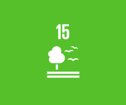 SDG