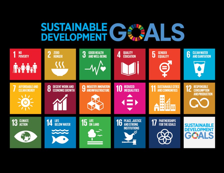 UN SDG