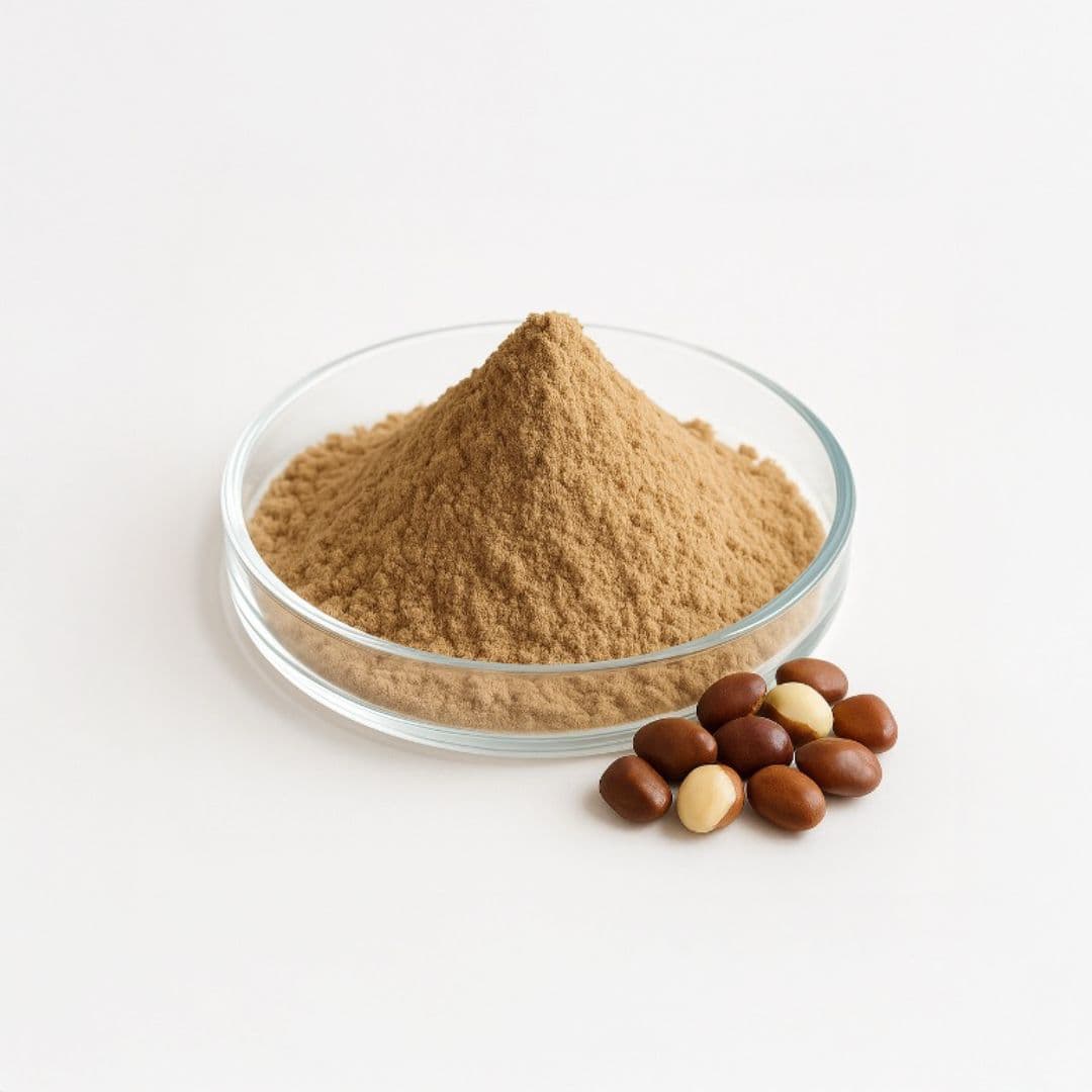 Tamarind Seed
